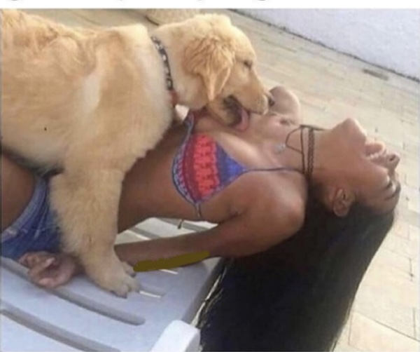 Dog licking woman Blank Meme Template