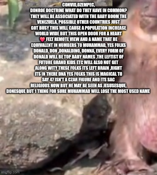 Heart felt moment remote viewed ,leftist will Rage over this!! | CONVID,OZEMPEC, DONROE DOCTRINE WHAT DO THEY HAVE IN COMMON? THEY WILL BE ASSOCIATED WITH THE BABY BOOM THE VENEZUELA, POSSIBLE OTHER COUNTRIES JUST GOT BUSY THIS WILL CAUSE A POPULATION INCREASE WORLD WIDE BUT THIS OPEN DOOR FOR A HEART ❤️ FELT REMOTE VIEW AND A NAME THAT BE EQUIVALENT IN NUMBERS TO MUHAMMAD, YES FOLKS DONALD, DON ,DONALDINO, DONNA, EVERY FORM OF DONALD WILL BE TOP BABY NAMES ,THE LEFTIST OF FUTURE GRAND KIDS ETC WILL ALSO NOT GET ALONG WITY THESE FOLKS ITS LEFT BRAIN ,RIGHT ITS IN THERE DNA YES FOLKS THIS IS MAGICAL TO SAY 47 ISN'T A CZAR FIGURE AND ITS SAC RELIGIOUS NOW BUT HE MAY BE SEEN AS JESUSESQUE, DONESQUE BUT 1 THING FOR SURE MUHAMMAD WILL LOSE THE MOST USED NAME | image tagged in wtf,wow,don | made w/ Imgflip meme maker