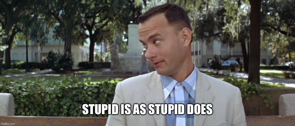 Forest Gump | STUPID IS AS STUPID DOES | image tagged in forest gump | made w/ Imgflip meme maker