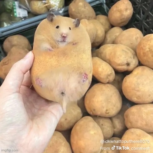 Imposter | made w/ Imgflip meme maker