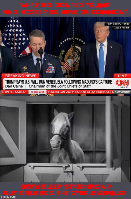 Trump's as healthy as a horse | WHAT DO DONALD TRUMP AND MISTER ED HAVE IN COMMON? BOTH SLEEP STANDING UP, BUT ONLY ED'S THE STABLE GENIUS! | image tagged in trump's as healthy as a horse,stable genius,drowsy don,one likes apples the other is road apples,horse sense vs nonsense | made w/ Imgflip meme maker