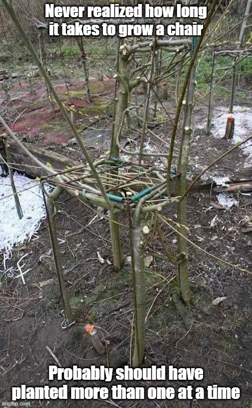 Grow A Chair | Never realized how long it takes to grow a chair; Probably should have planted more than one at a time | image tagged in plants,gardening,furniture,forever | made w/ Imgflip meme maker