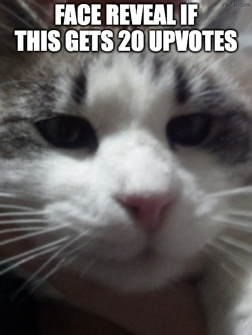 Sour Hart announcement template | FACE REVEAL IF THIS GETS 20 UPVOTES | image tagged in sour hart announcement template | made w/ Imgflip meme maker