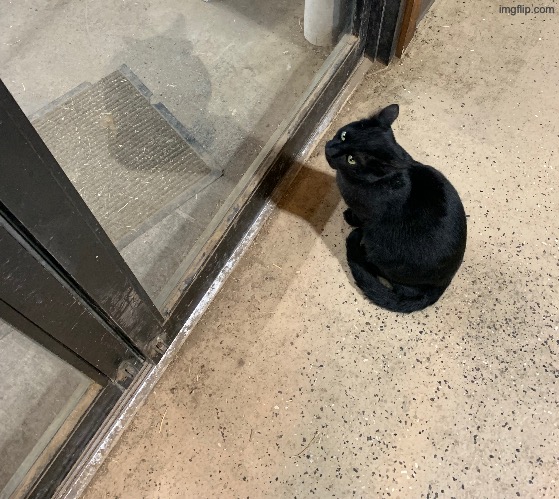 Bro wanna go outside | made w/ Imgflip meme maker