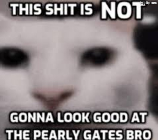 Not gonna look good at the pearly gates | image tagged in not gonna look good at the pearly gates | made w/ Imgflip meme maker