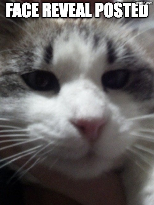 Sour Hart announcement template | FACE REVEAL POSTED | image tagged in sour hart announcement template | made w/ Imgflip meme maker