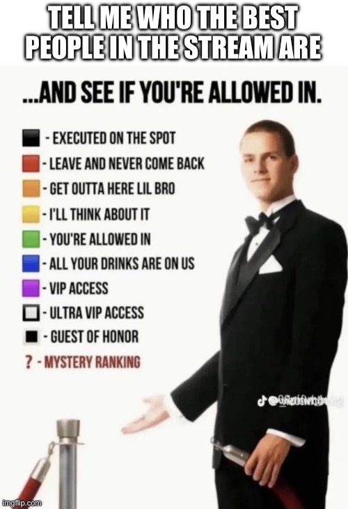 See if your allowed in. | TELL ME WHO THE BEST PEOPLE IN THE STREAM ARE | image tagged in see if your allowed in | made w/ Imgflip meme maker