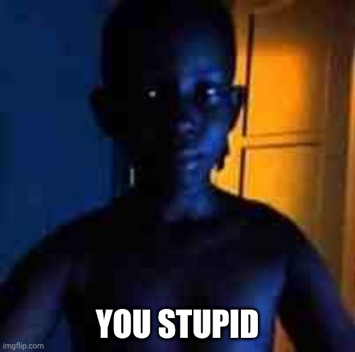 you stupid | YOU STUPID | image tagged in you stupid | made w/ Imgflip meme maker