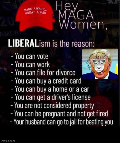 Reposted from Pinterest cuz I think it sums things up quite nicely | image tagged in liberalism,politics | made w/ Imgflip meme maker