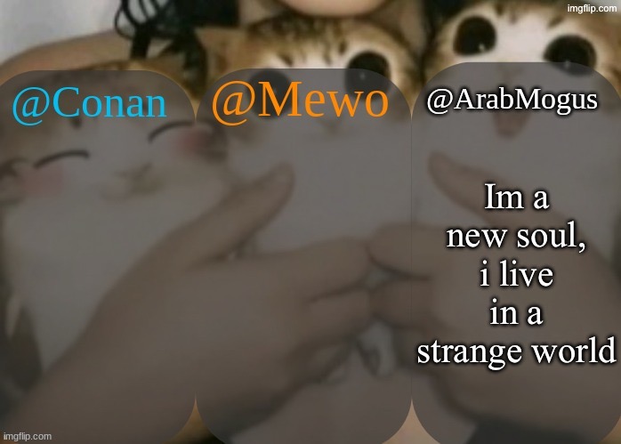 Conan, Mewo, Arabmogus shared template | Im a new soul, i live in a strange world | image tagged in conan mewo arabmogus shared template | made w/ Imgflip meme maker