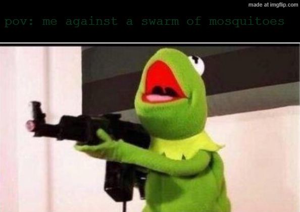 i'd go to war against the mosquito republic | pov: me against a swarm of mosquitoes | image tagged in kermit with an ak47,memes,mosquitoes,wwiii | made w/ Imgflip meme maker