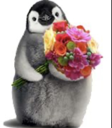 Flower penguin Blank Meme Template