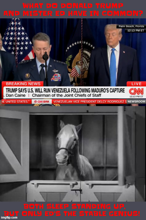 Trump's as healthy as a horse | image tagged in trump's as healthy as a horse,drowsy don,stable genius,maga manure,likes apples vs road apples | made w/ Imgflip meme maker