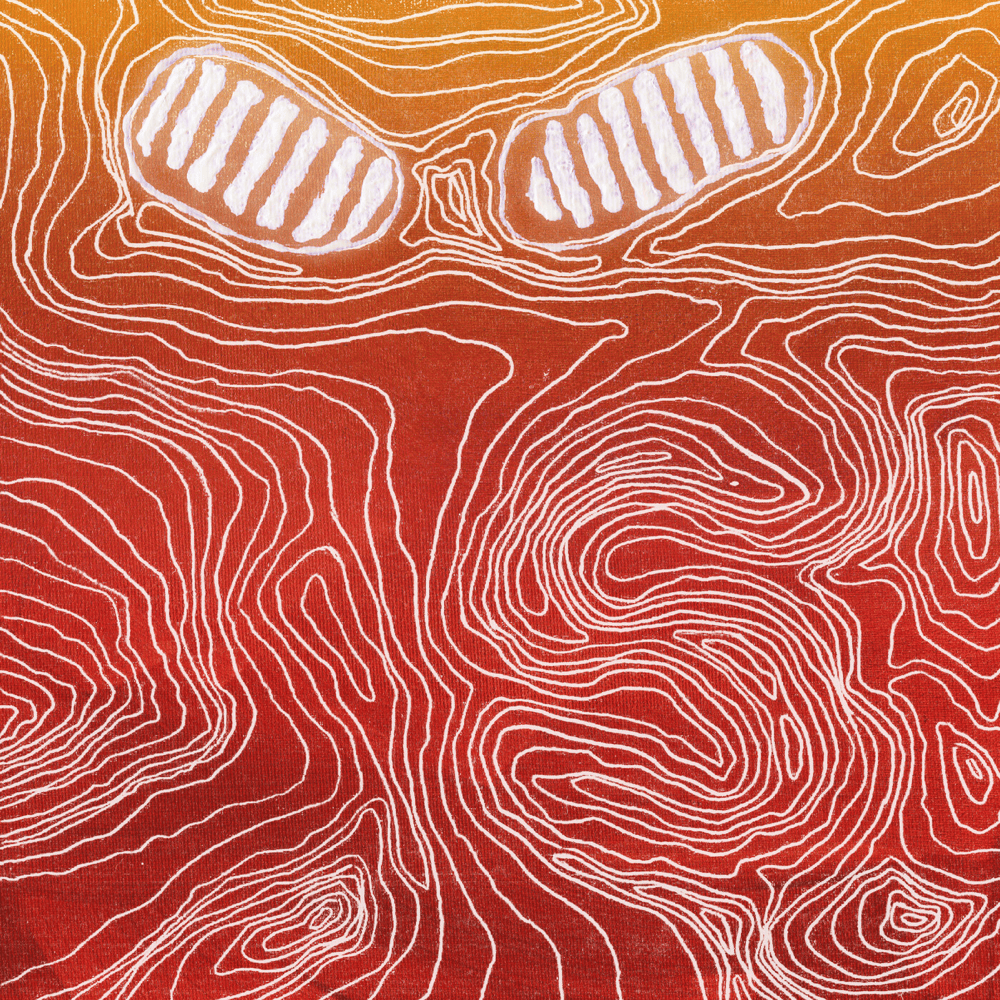 Senses DABIN Blank Meme Template