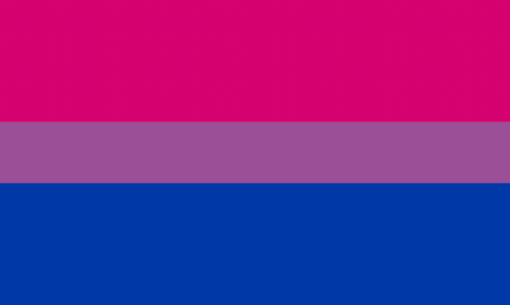Bisexual flag Blank Meme Template