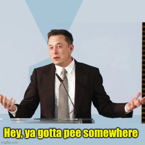 Elon Musk | Hey, ya gotta pee somewhere | image tagged in elon musk | made w/ Imgflip meme maker