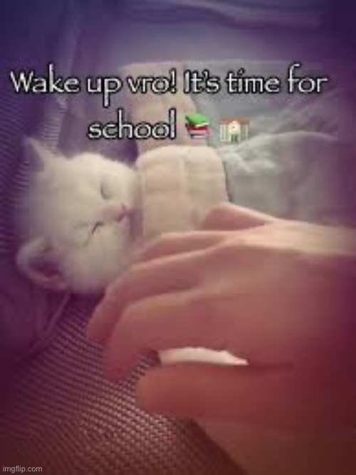 Wake up vro it's time for school | image tagged in wake up vro it's time for school | made w/ Imgflip meme maker