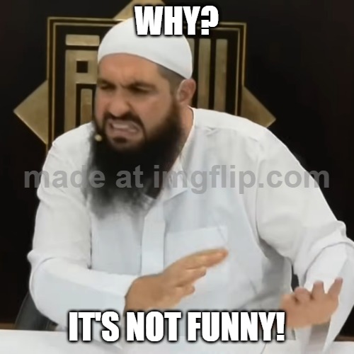 WHY? IT'S NOT FUNNY! | image tagged in eww brother | made w/ Imgflip meme maker