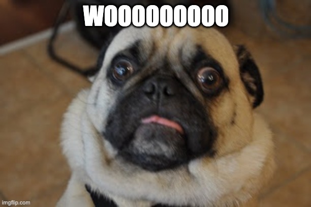 Pug worried | WOOOOOOOOO | image tagged in pug worried | made w/ Imgflip meme maker