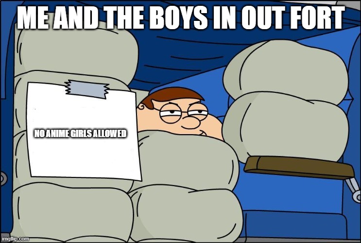 me and daboys in our fort | ME AND THE BOYS IN OUT FORT; NO ANIME GIRLS ALLOWED | image tagged in no girls allowed | made w/ Imgflip meme maker