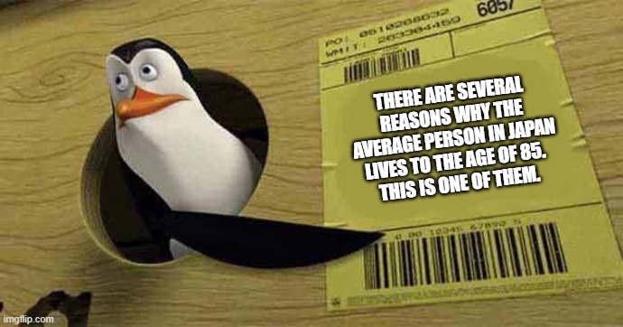 THERE ARE SEVERAL REASONS WHY THE AVERAGE PERSON IN JAPAN LIVES TO THE AGE OF 85. 
THIS IS ONE OF THEM. | image tagged in penguin pointing at sign | made w/ Imgflip meme maker