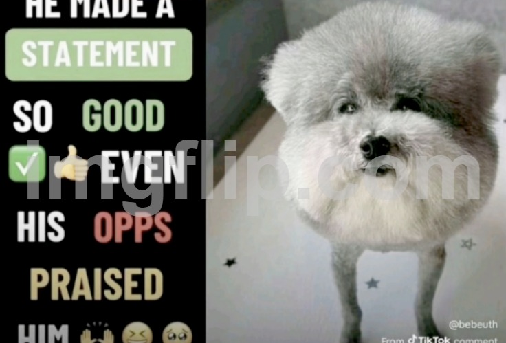 He made a statement so good even his opps praised him | image tagged in he made a statement so good even his opps praised him | made w/ Imgflip meme maker