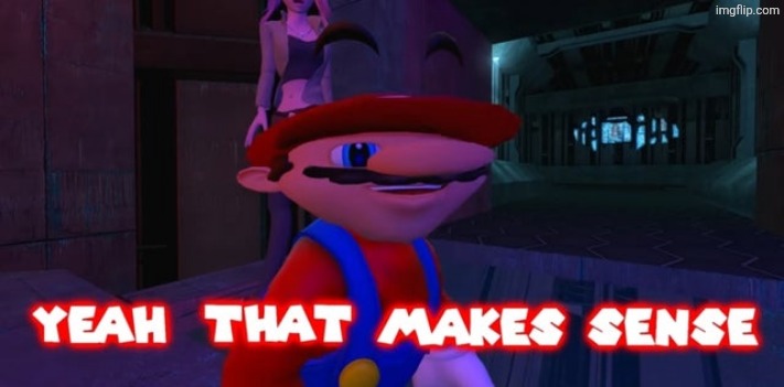 Mario that make sense | image tagged in mario that make sense | made w/ Imgflip meme maker
