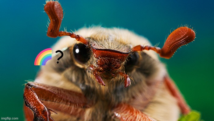 🌈? | made w/ Imgflip meme maker