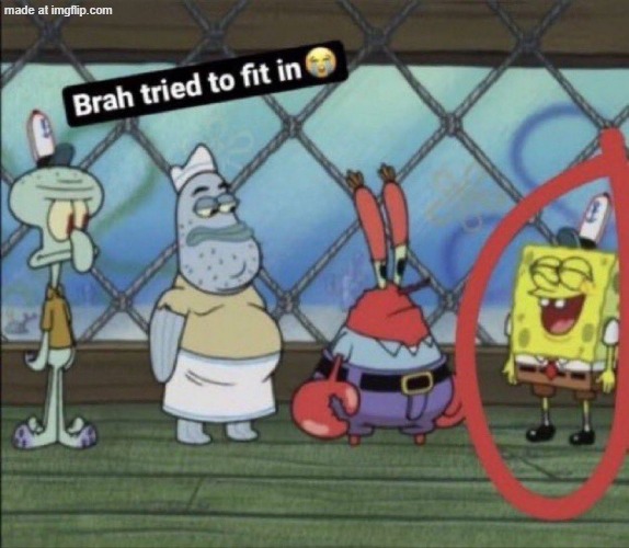 brah tried to fit in | image tagged in brah tried to fit in | made w/ Imgflip meme maker