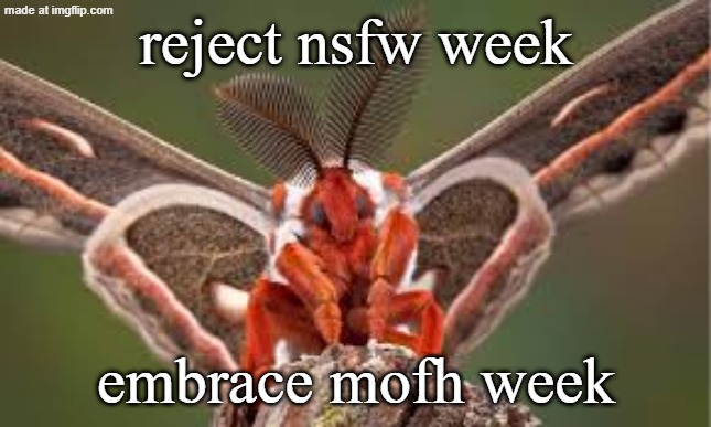 nsfw week fell off anyway | reject nsfw week; embrace mofh week | made w/ Imgflip meme maker