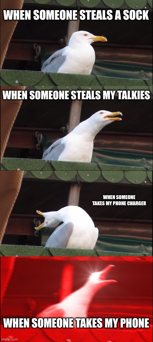 Inhaling Seagull | WHEN SOMEONE STEALS A SOCK; WHEN SOMEONE STEALS MY TALKIES; WHEN SOMEONE TAKES MY PHONE CHARGER; WHEN SOMEONE TAKES MY PHONE | image tagged in memes,inhaling seagull | made w/ Imgflip meme maker