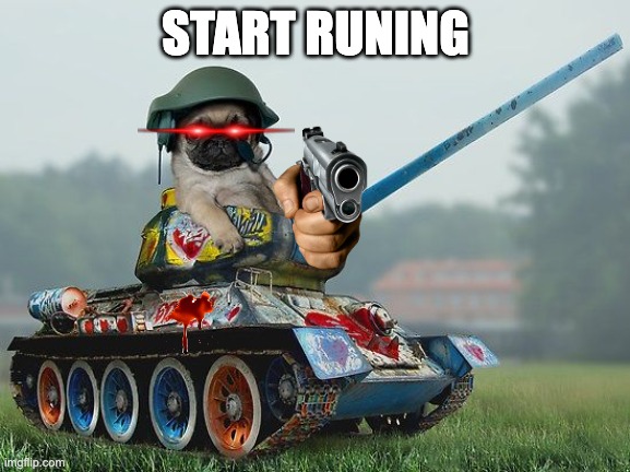 Army pug | START RUNING | image tagged in army pug | made w/ Imgflip meme maker