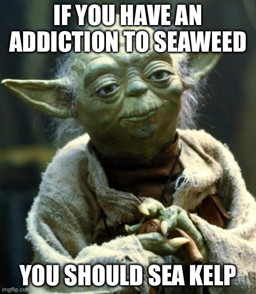 Nowledge | IF YOU HAVE AN ADDICTION TO SEAWEED; YOU SHOULD SEA KELP | image tagged in memes,star wars yoda | made w/ Imgflip meme maker