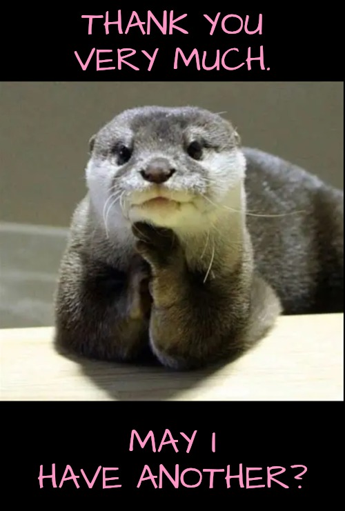 THANK YOU VERY MUCH. MAY I HAVE ANOTHER? | image tagged in otter | made w/ Imgflip meme maker
