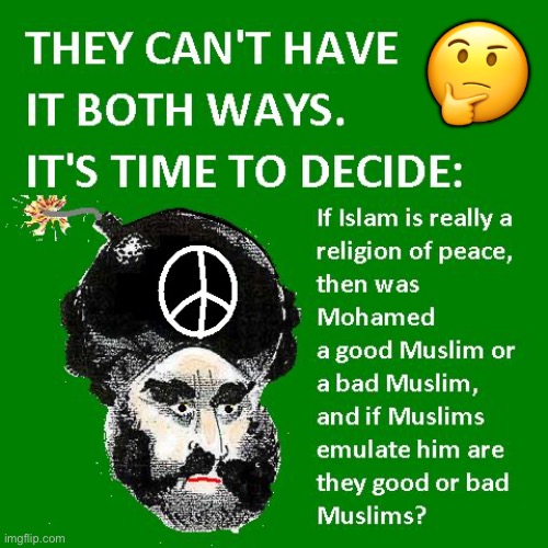 It’s painfully obvious which one it is, literally… | 🤔 | image tagged in political meme,islam,religion of peace,muhammad,decision | made w/ Imgflip meme maker
