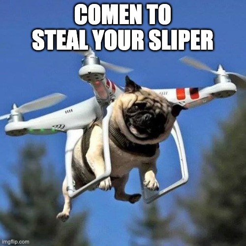Flying Pug | COMEN TO STEAL YOUR SLIPER | image tagged in flying pug | made w/ Imgflip meme maker