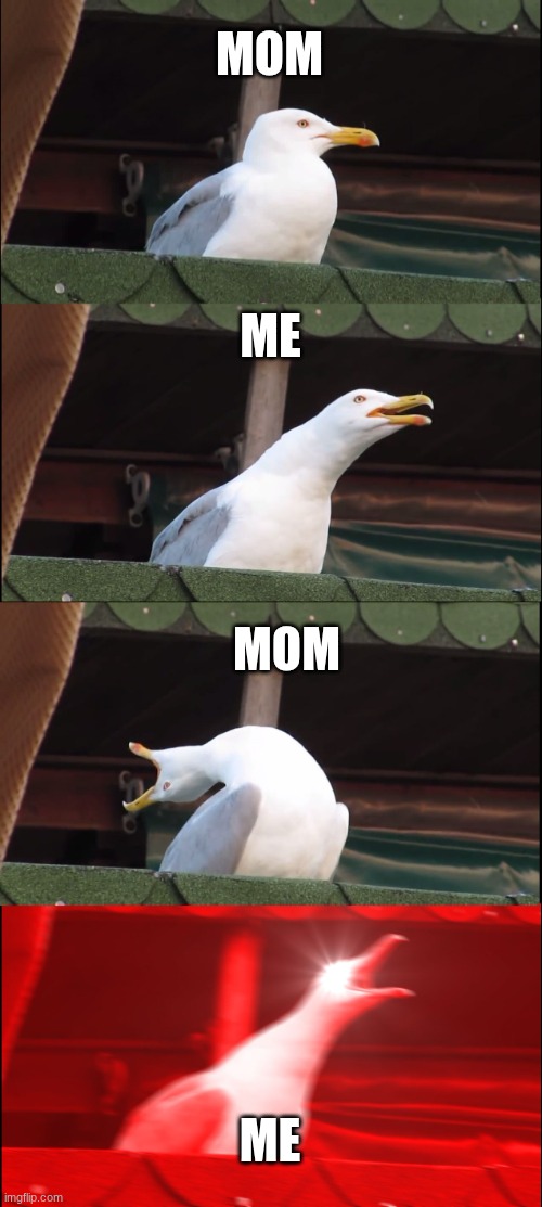 Inhaling Seagull Meme | MOM; ME; MOM; ME | image tagged in memes,inhaling seagull | made w/ Imgflip meme maker