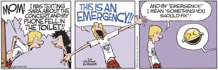 Zits | image tagged in comics | made w/ Imgflip meme maker