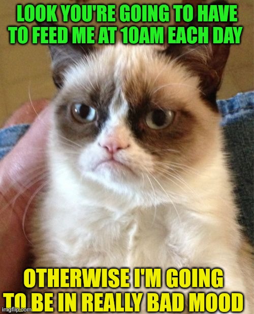 Feed me on time | LOOK YOU'RE GOING TO HAVE TO FEED ME AT 10AM EACH DAY; OTHERWISE I'M GOING TO BE IN REALLY BAD MOOD | image tagged in memes,grumpy cat,funny memes | made w/ Imgflip meme maker