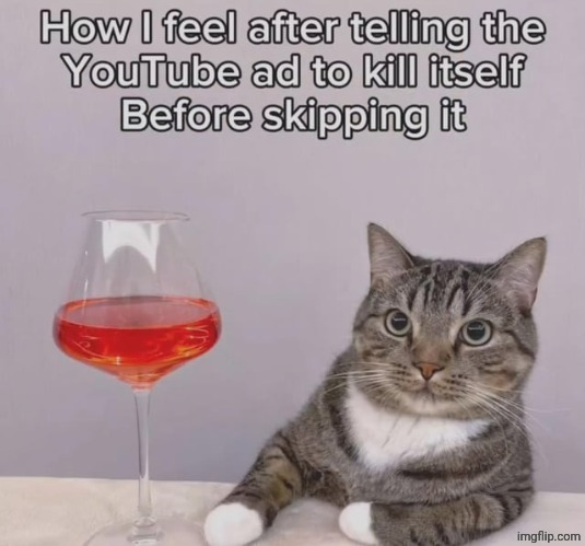 The ads to DEATH | image tagged in youtube,ads,ad,reposts,memes,repost | made w/ Imgflip meme maker