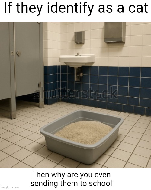 This is outdated ik | If they identify as a cat; Then why are you even sending them to school | image tagged in politics,woke,furries,cats,litter box,memes | made w/ Imgflip meme maker