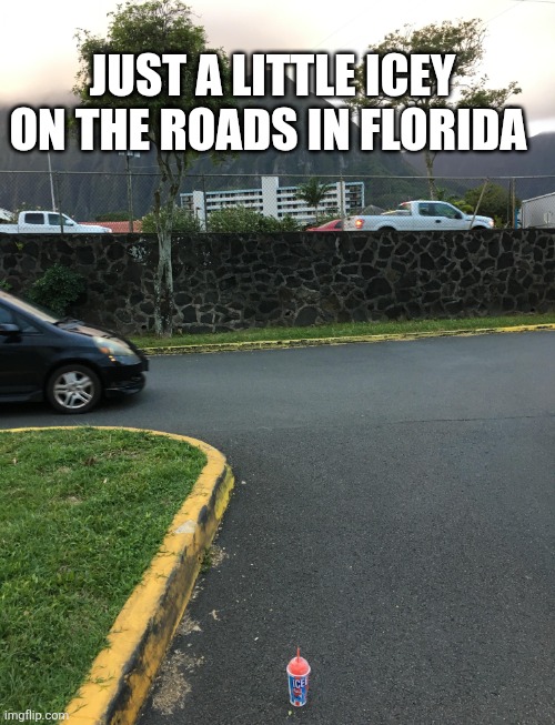 Just A Little Icey On The Roads In Florida | JUST A LITTLE ICEY ON THE ROADS IN FLORIDA | image tagged in chrisjoines1 | made w/ Imgflip meme maker