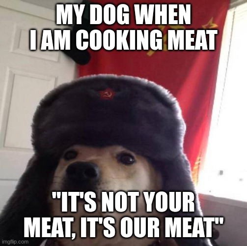 Russian Doge | MY DOG WHEN I AM COOKING MEAT; "IT'S NOT YOUR MEAT, IT'S OUR MEAT" | image tagged in russian doge | made w/ Imgflip meme maker