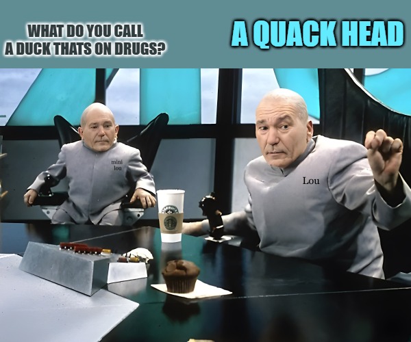lou joke | A QUACK HEAD; WHAT DO YOU CALL A DUCK THATS ON DRUGS? | image tagged in lou and mini lou,joke,kewlew | made w/ Imgflip meme maker
