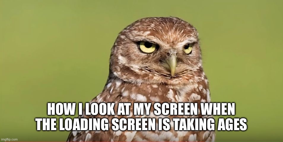 We’ve all been there | HOW I LOOK AT MY SCREEN WHEN THE LOADING SCREEN IS TAKING AGES | image tagged in death stare owl,relatable | made w/ Imgflip meme maker