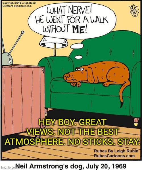 One small step. One upset dog | HEY BOY. GREAT VIEWS. NOT THE BEST ATMOSPHERE. NO STICKS. STAY. | image tagged in one small step one upset dog | made w/ Imgflip meme maker