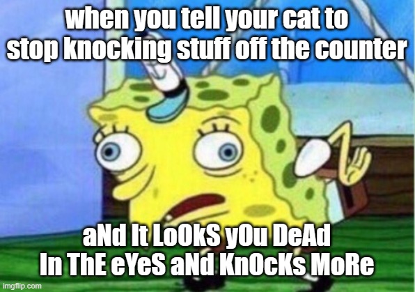 Sassy Cat | when you tell your cat to stop knocking stuff off the counter; aNd It LoOkS yOu DeAd In ThE eYeS aNd KnOcKs MoRe | image tagged in memes,mocking spongebob,funny cat memes,woman screaming at cat,funny cats,spongebob yelling | made w/ Imgflip meme maker