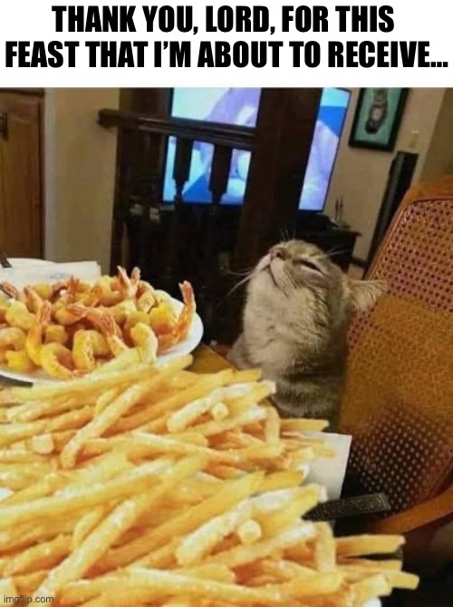 Don’t ask me how this happened… | THANK YOU, LORD, FOR THIS 
FEAST THAT I’M ABOUT TO RECEIVE… | image tagged in cats,feast,thankful,shrimp and fries | made w/ Imgflip meme maker
