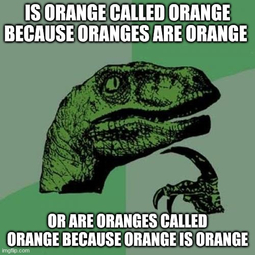 We Will Never Know | IS ORANGE CALLED ORANGE BECAUSE ORANGES ARE ORANGE; OR ARE ORANGES CALLED ORANGE BECAUSE ORANGE IS ORANGE | image tagged in memes,philosoraptor | made w/ Imgflip meme maker
