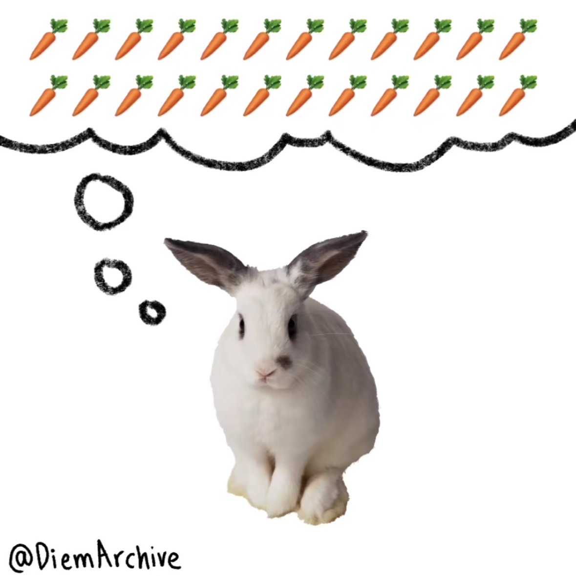 Greedy rabbit Blank Meme Template